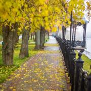 Посмотреть крупнее