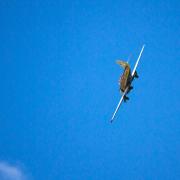 Посмотреть крупнее