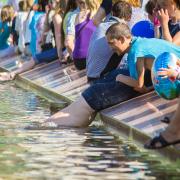 Посмотреть крупнее