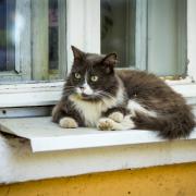 Посмотреть крупнее