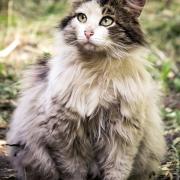 Посмотреть крупнее