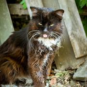 Посмотреть крупнее