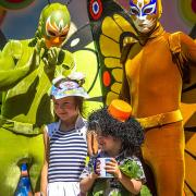 Посмотреть крупнее