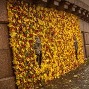 Посмотреть крупнее