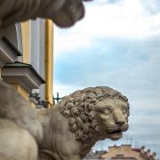 Питерские львы