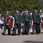 Посмотреть крупнее