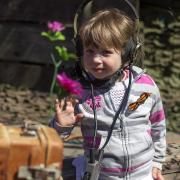 Посмотреть крупнее