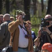 Посмотреть крупнее